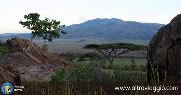 Panorama del parco Serengeti 