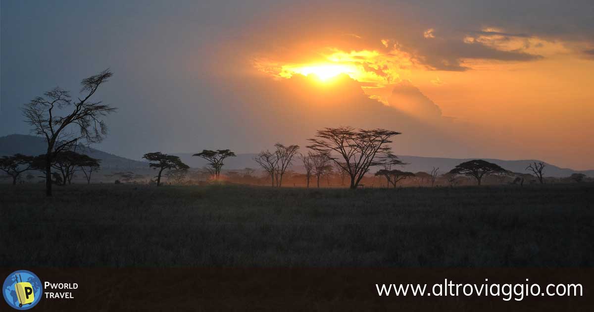 Panorama del parco Serengeti al tramonto